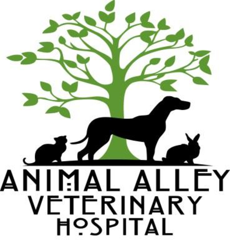 Pet Cardiology In Saginaw, MI | Animal Alley Veterinary Hospital